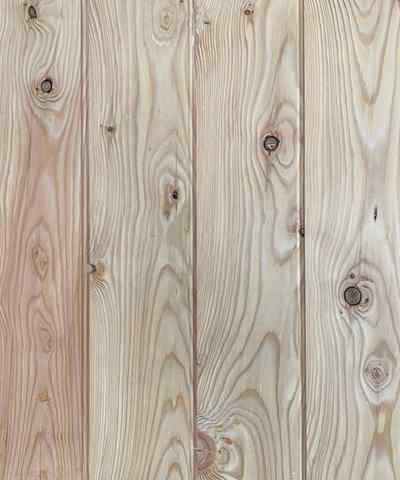 British Douglas Fir Shadow Gap